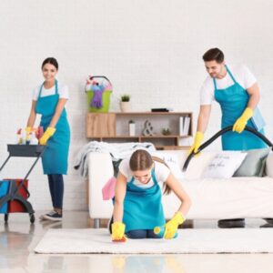 How to Create an Effective Carpet Cleaning company