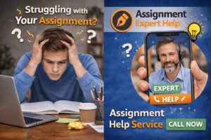 Best Criminology Assignment Help for University Students