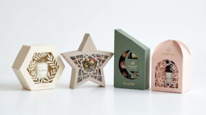 Custom Die-Cut Boxes for Creative Packaging Ideas