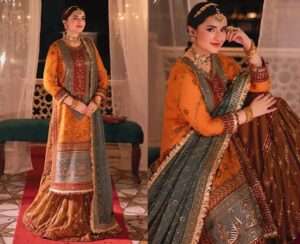 Pakistani Dresses Online the Same Quality as In-Store